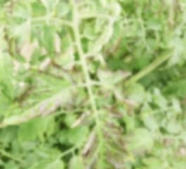 Don't take blurred or unclear photo